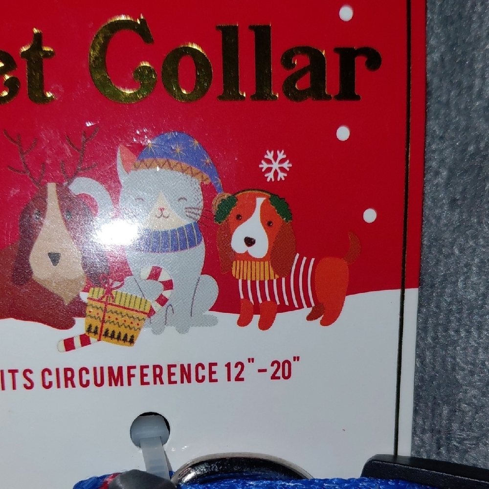 Colorful Dog Accessory Set - Picture 6 of 8